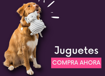 juguetes