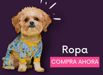 ropa